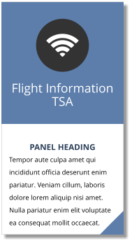 PANEL HEADING Tempor aute culpa amet qui incididunt officia deserunt enim pariatur. Veniam cillum, laboris dolore lorem aliquip nisi amet. Nulla pariatur enim elit voluptate ea consequat mollit occaecat. Flight Information TSA